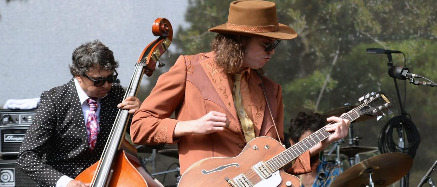 The Sadies