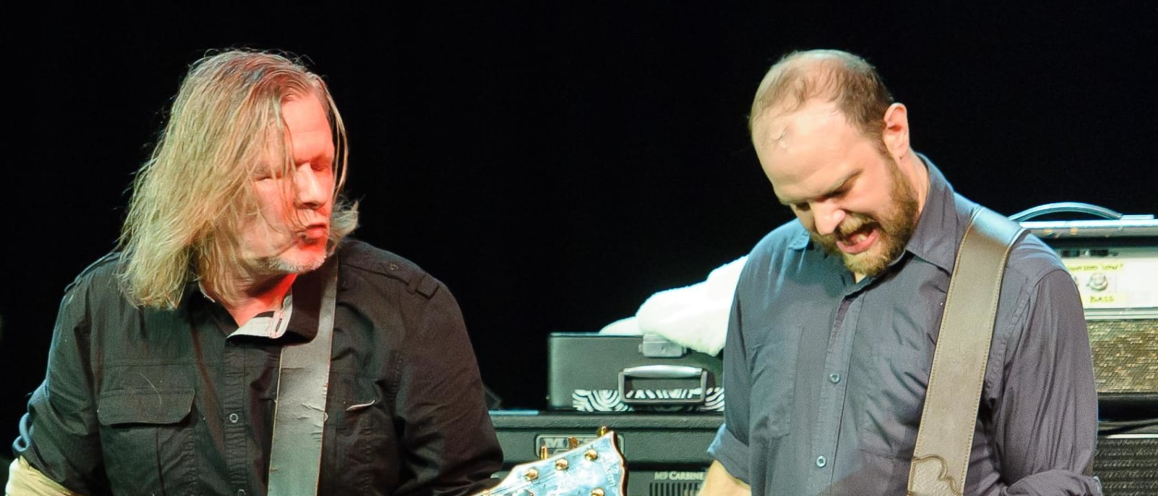 Swans
