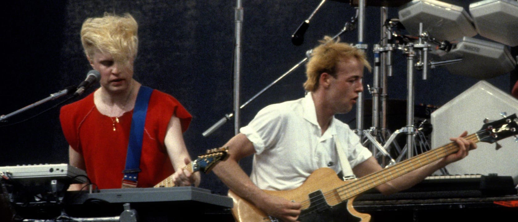 A Flock of Seagulls