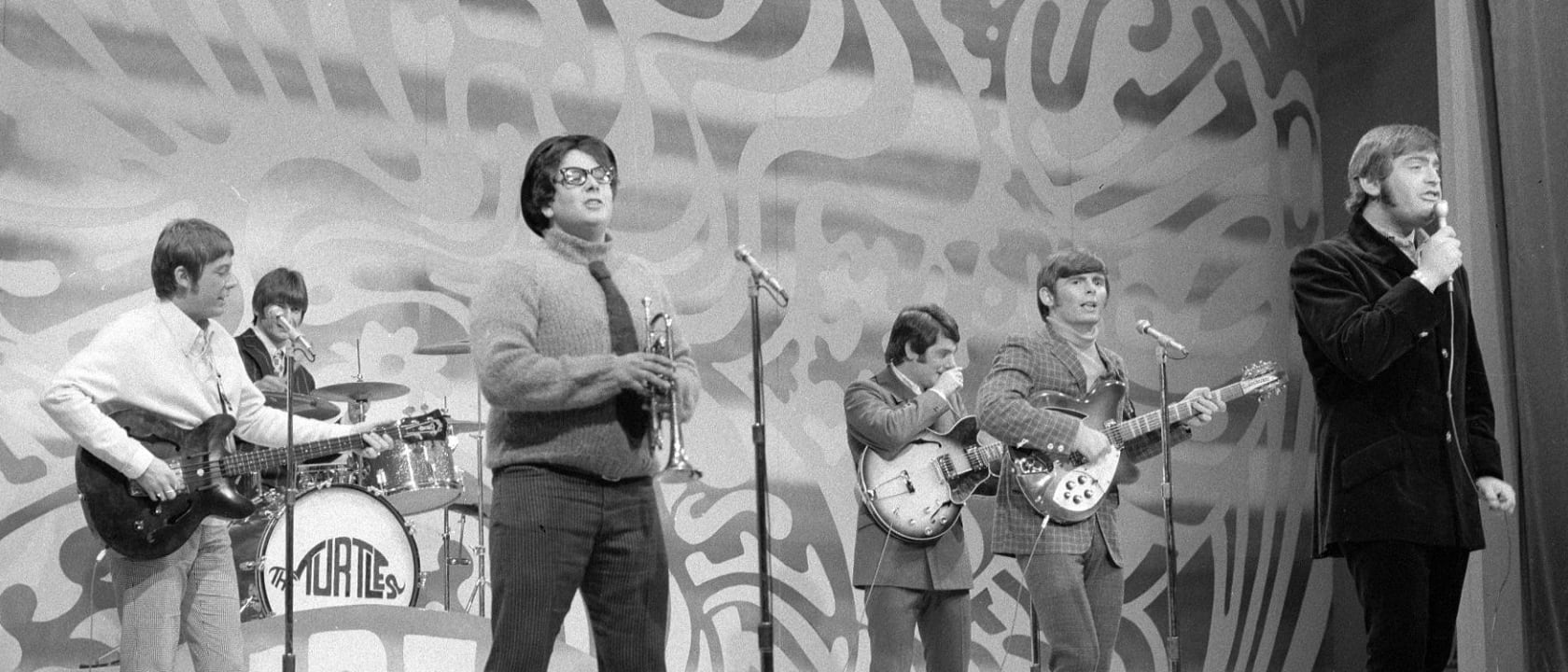 The Turtles