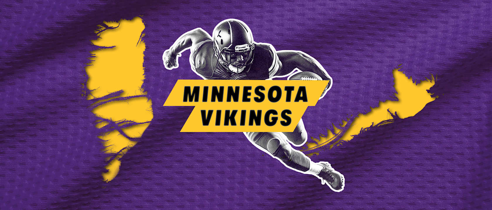 Minnesota Vikings