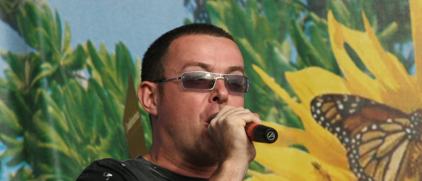 Judge Jules