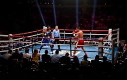 Perfomer 12161 Image