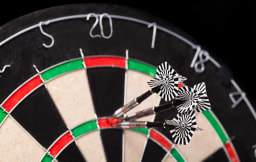 Perfomer 20868 Image