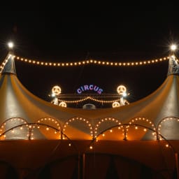 performer-image