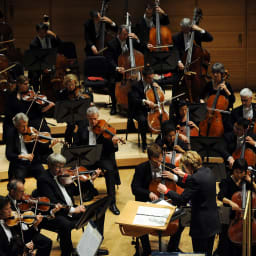 Baltimore Symphony Orchestra