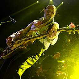 Social Distortion