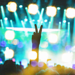 Rock The Country Parking