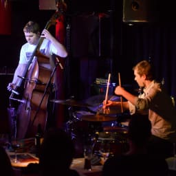 Gogo Penguin