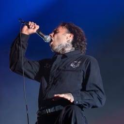 The Fever 333