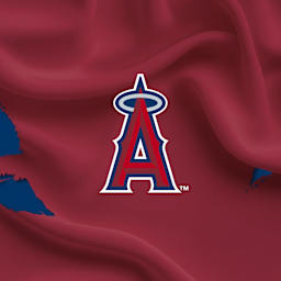 Los Angeles Angels Parking
