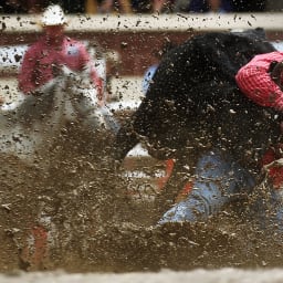 Calgary Stampede Rodeo