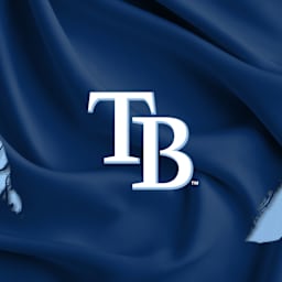 Tampa Bay Rays Parking