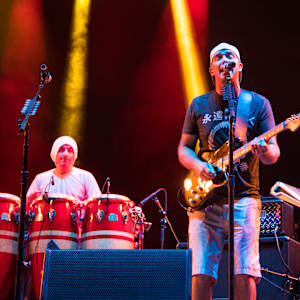 Slightly Stoopid Image