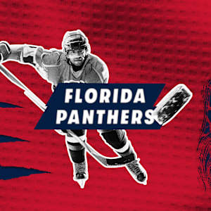 Florida Panthers Image