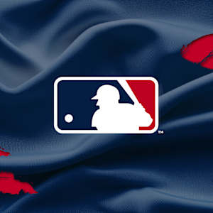 Detroit Tigers Image