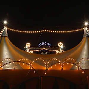The Canine Circus Image