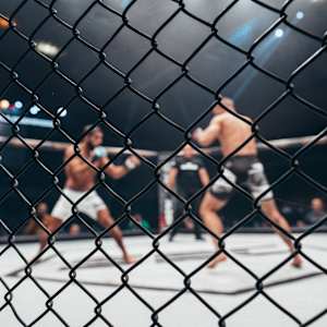 EFC - Extreme Fighting Championship Image