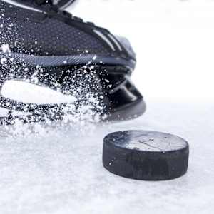 Sarnia Sting Image