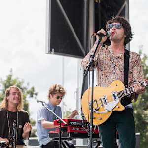 The Nude Party Image