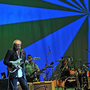 The Grass Roots Image