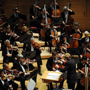 Baltimore Symphony Orchestra Image