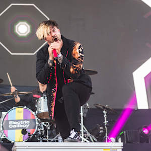 Electric Callboy Image