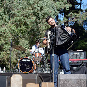 The Felice Brothers Image