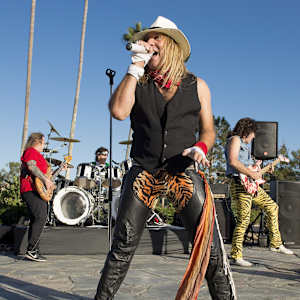 Fan Halen Image
