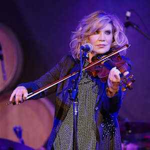 Alison Krauss Image