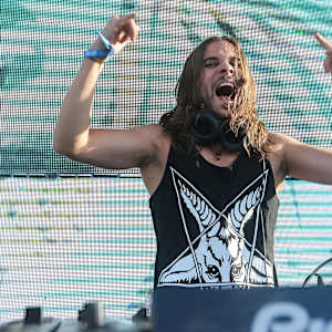 Seven Lions Image