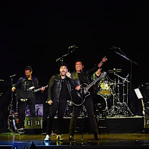 The Bronx Wanderers Image