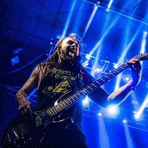 Soulfly Image