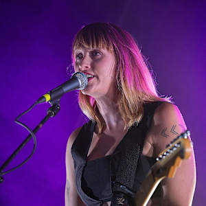 Flock of Dimes Image