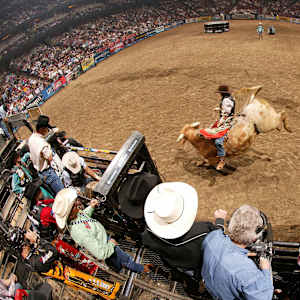 PBR - Professional Bull Riders Image