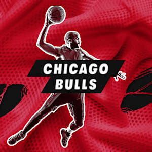 Chicago Bulls Image