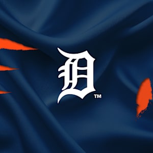 Detroit Tigers Image