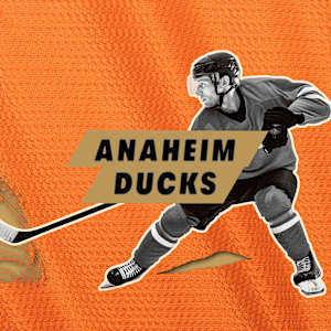 Anaheim Ducks Image