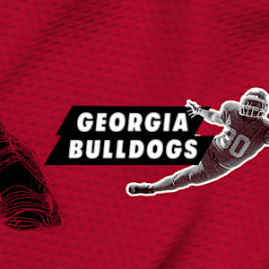 Georgia Bulldogs Football Image