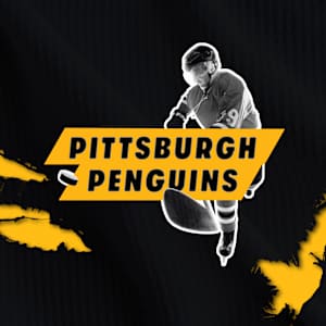 Pittsburgh Penguins Parking Image