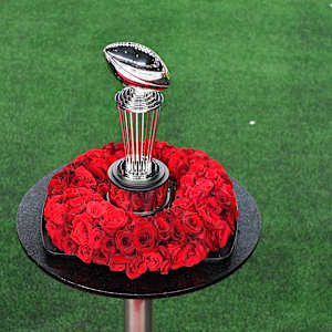 Rose Bowl Image