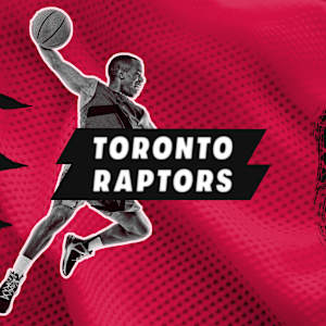 Toronto Raptors Image