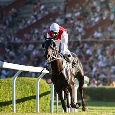 Preakness Stakes