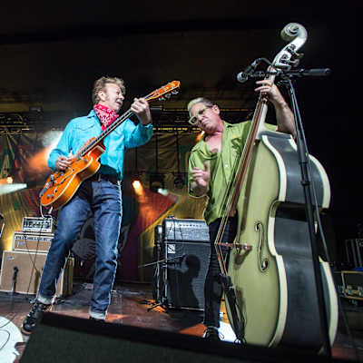 Stray Cats