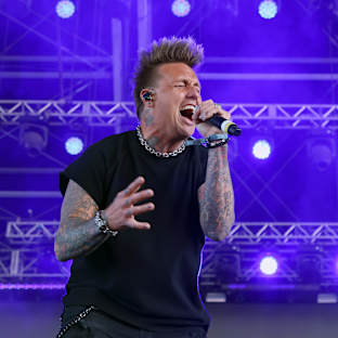 Papa Roach Image