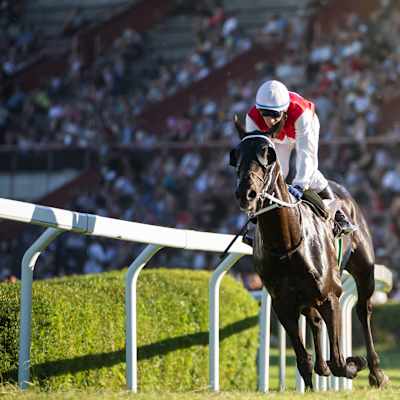 Preakness Stakes