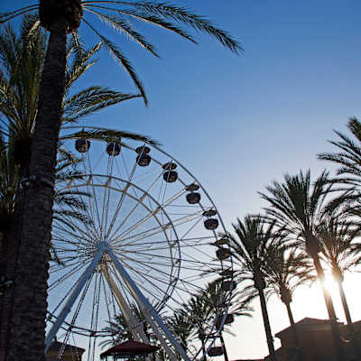 Coachella Music Festival